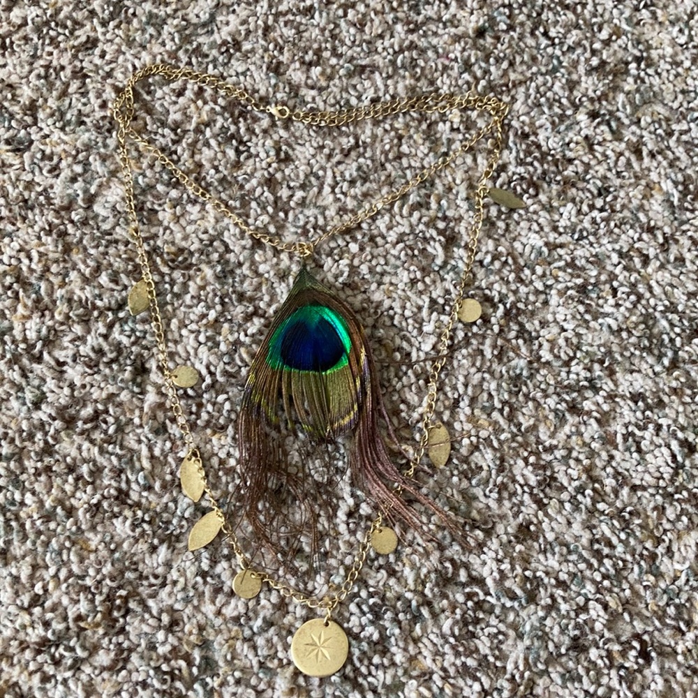 Beautiful peacock necklace!